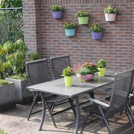 B&B D'n Dijk